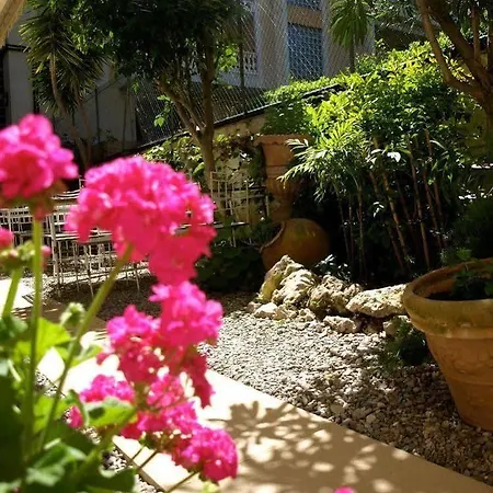 Hotel Ruc 4*